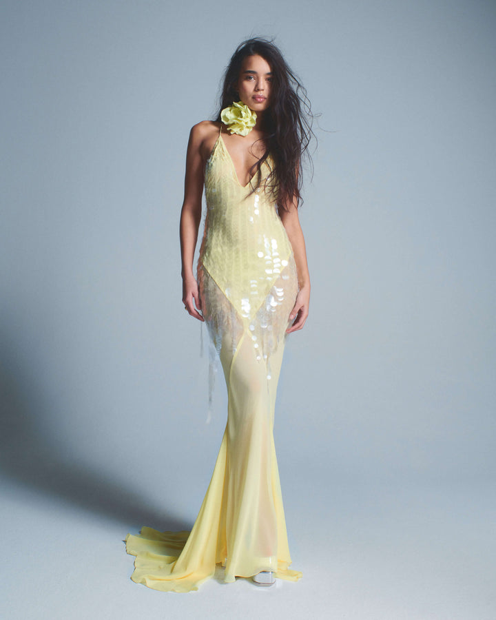 AYUMI - PETAL KISS CHOKER DRESS